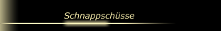 Schnappschüsse