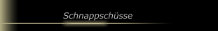 Schnappsch&uuml;sse